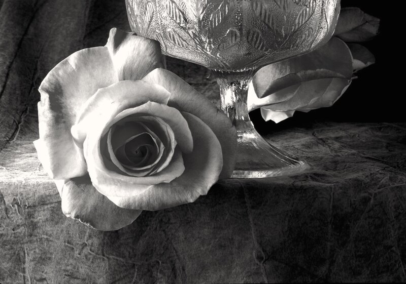 White Rose and Glass Bowl