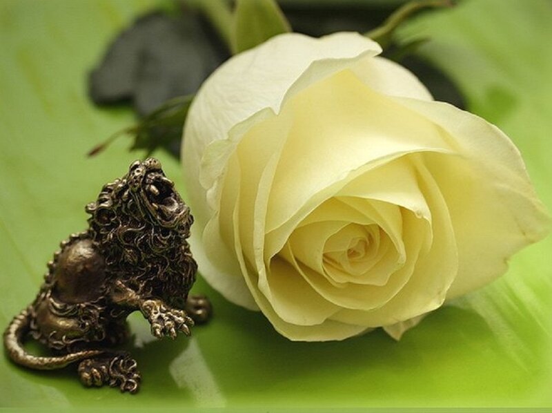 White Rose and Lion Figurine