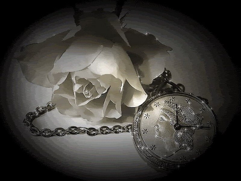white rose and pocket watch