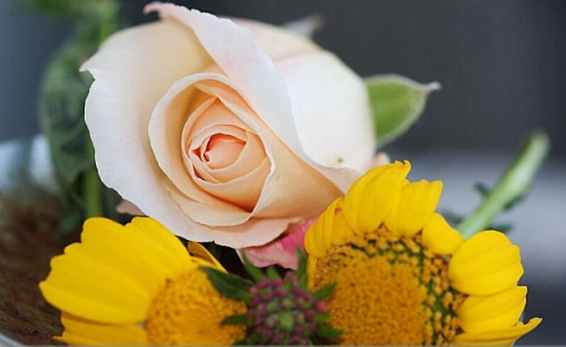 White Rose and Sunflowers