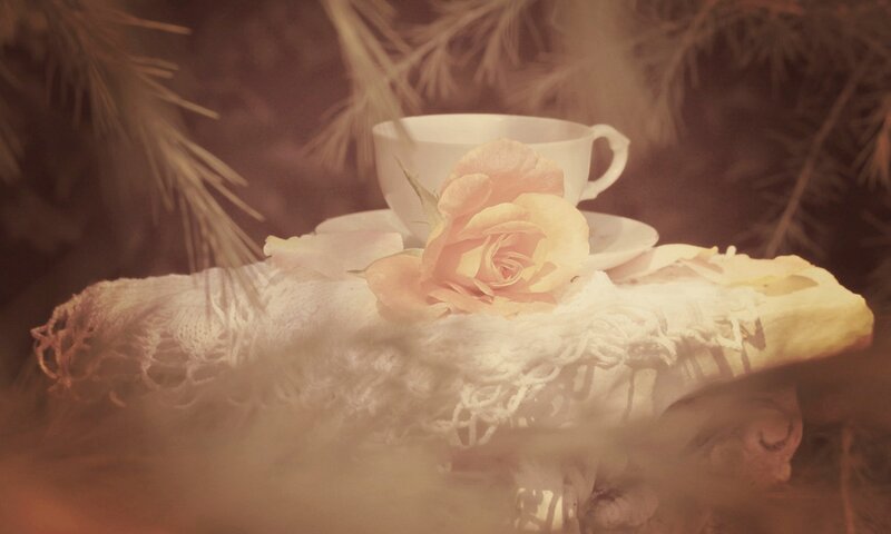 White Rose and Teacup — Beige