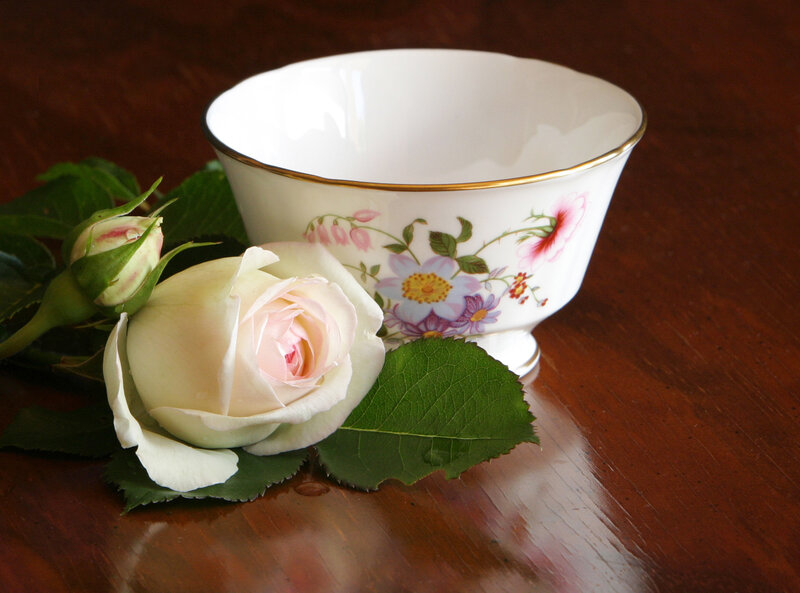 White Rose and Teacup — Serene, Photograph, Leaves