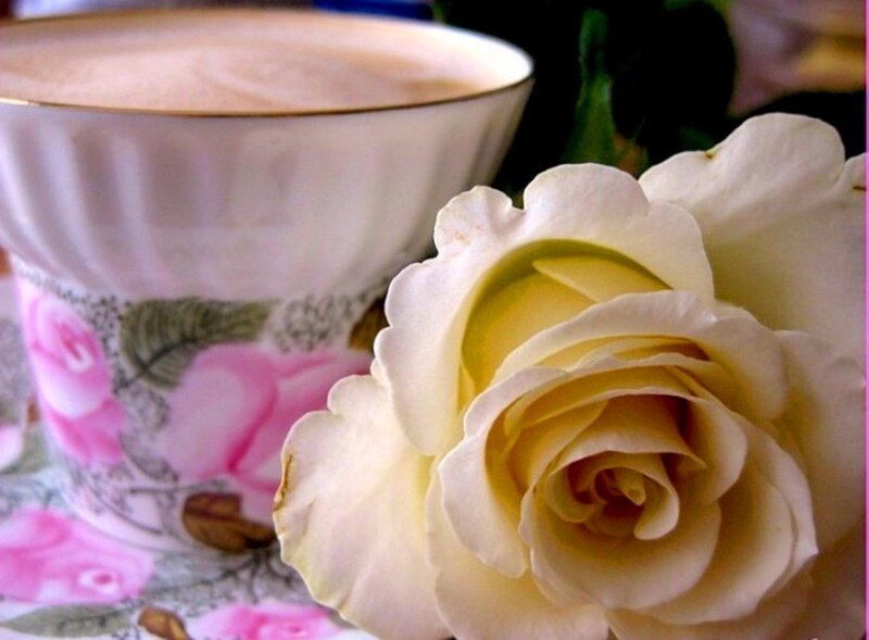White Rose and Teacup — Serene, Photograph, Tablecloth