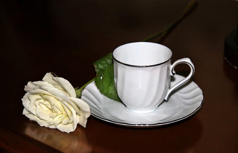 White Rose and Teacup — Serene, Photograph
