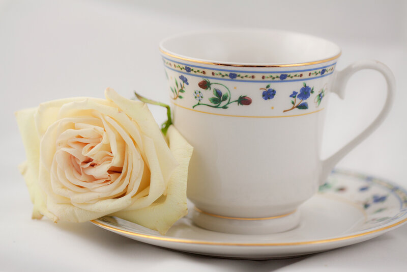 White Rose and Teacup — Serene