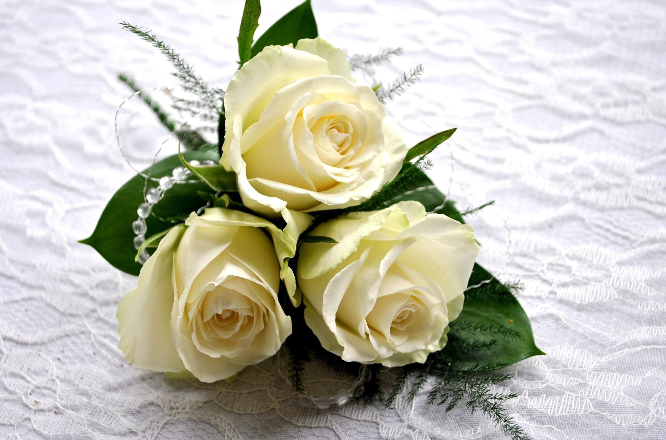 white rose bouquet