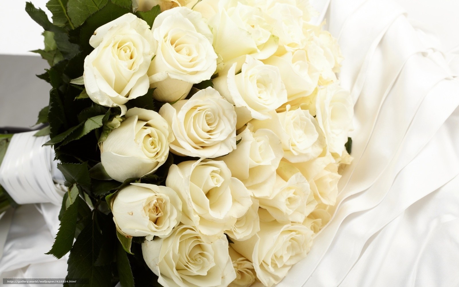 white rose bouquet
