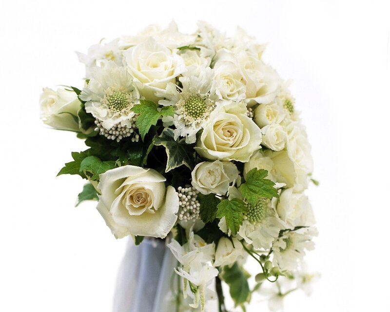 white rose bouquet