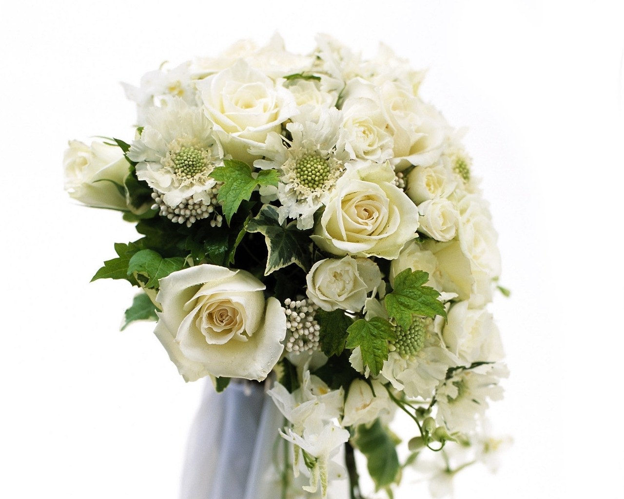 white rose bouquet
