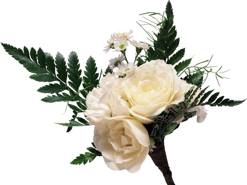 white rose bouquet