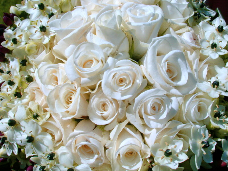 White Rose Bouquet — Calm, Afternoon