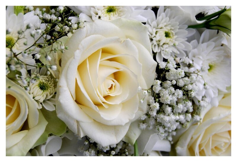 White Rose Bouquet — Calm, Photograph, Chrysanthemums