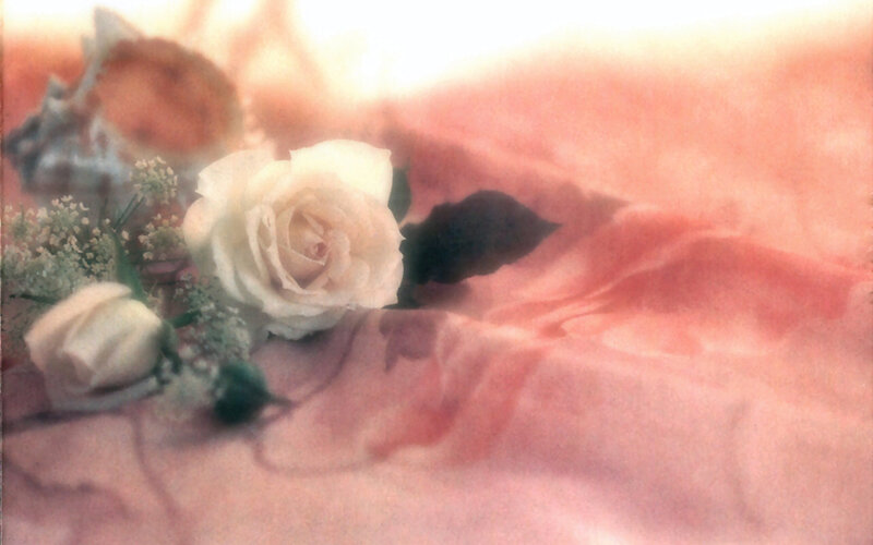 White Rose Bouquet — Pink, Soft