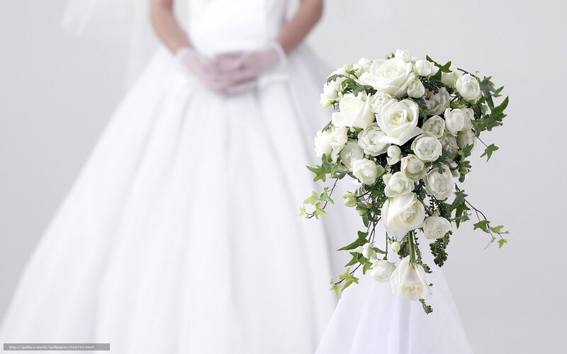 White Rose Bouquet — Serene, Photograph, Bride, Gloves