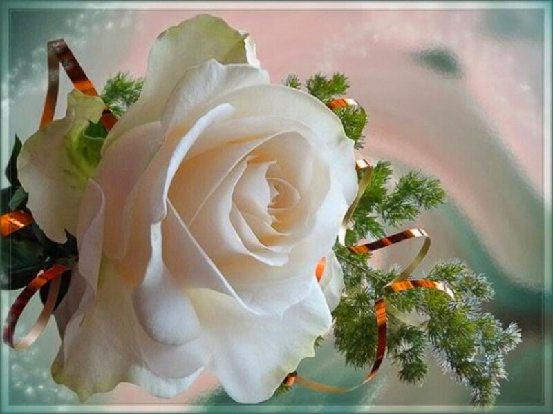 White Rose Bouquet — Serene, Photograph, Greenery