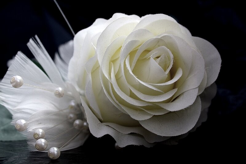 White Rose Boutonniere — Dramatic