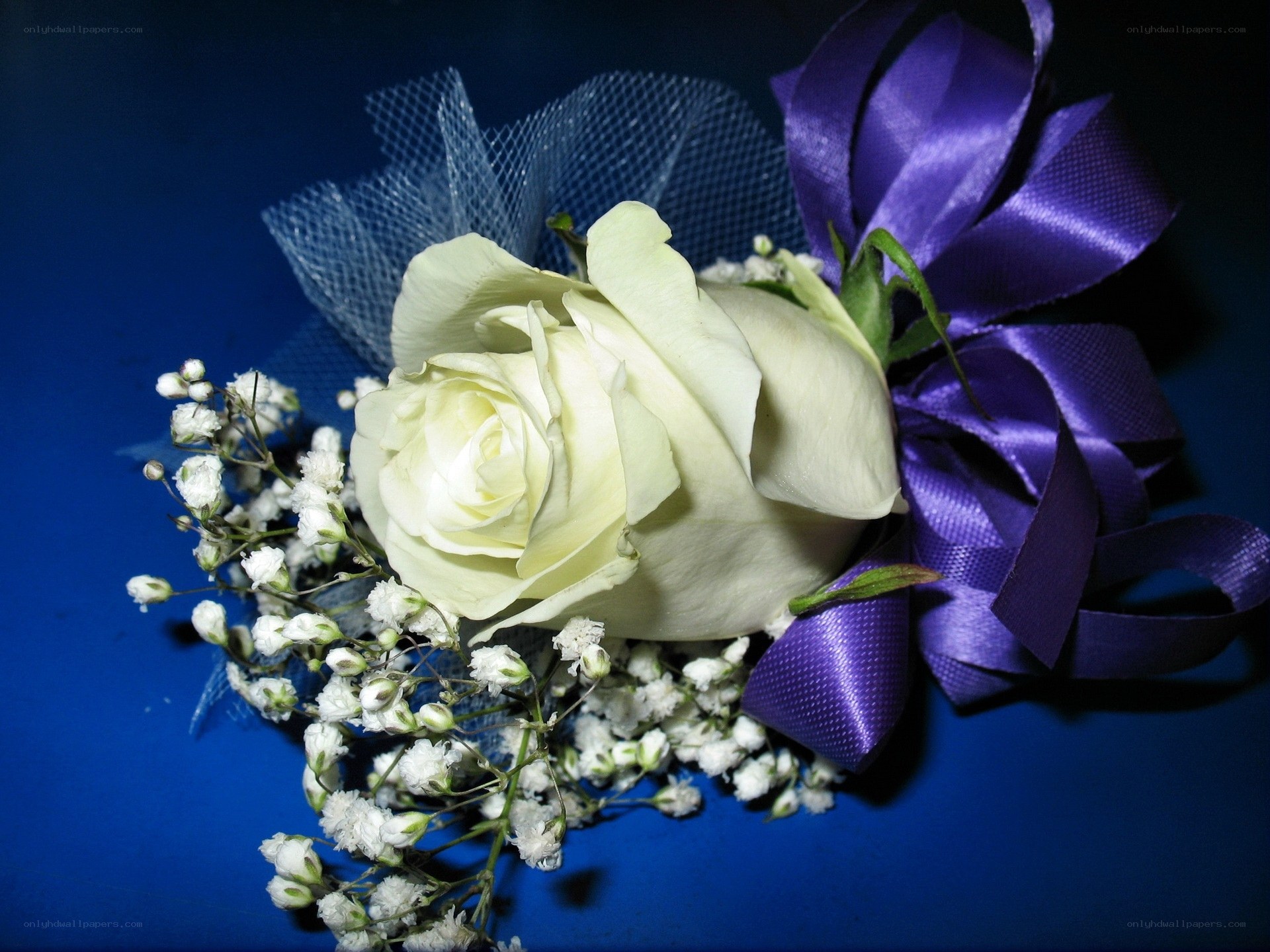 White rose boutonniere