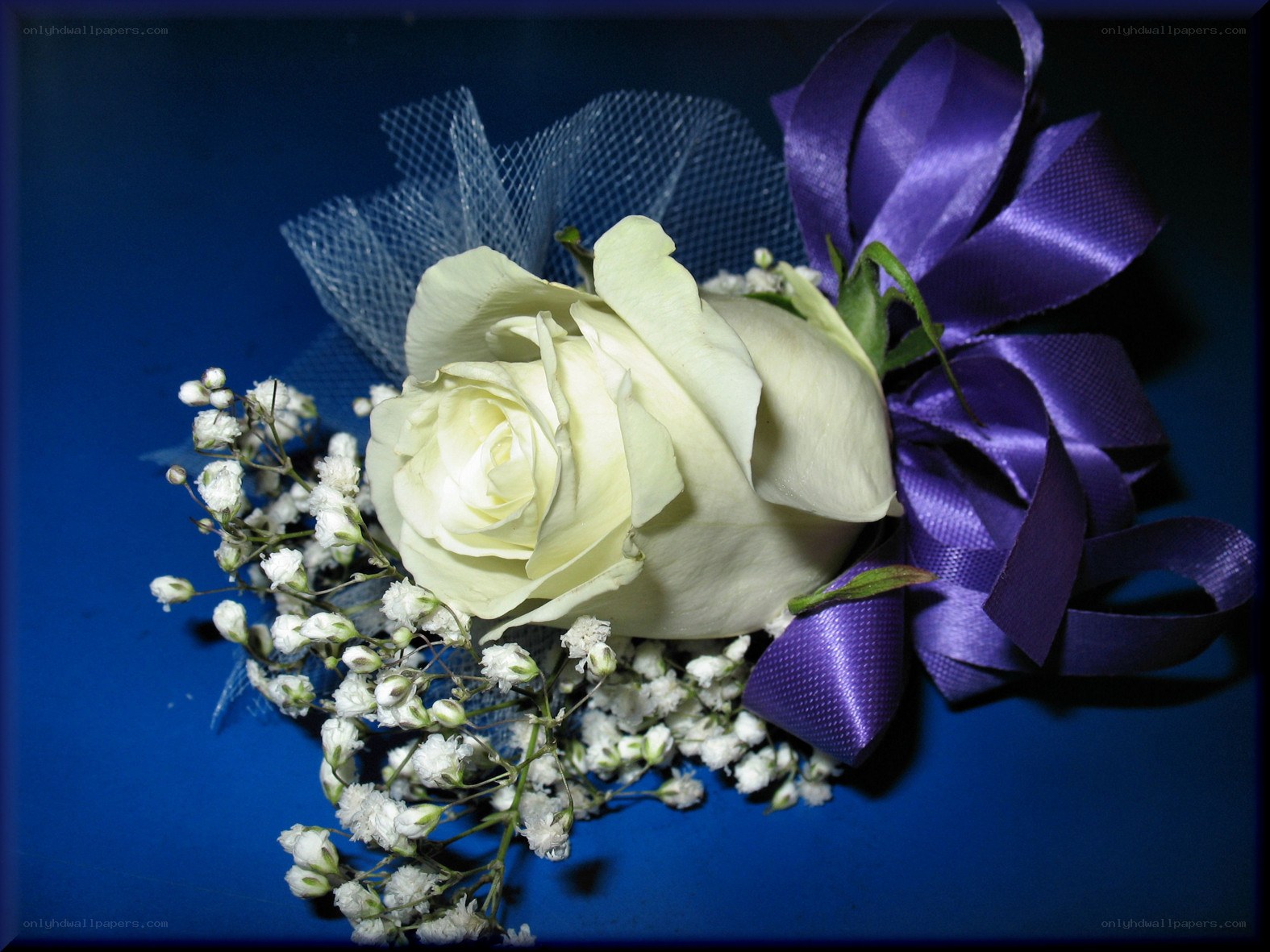 white rose corsage