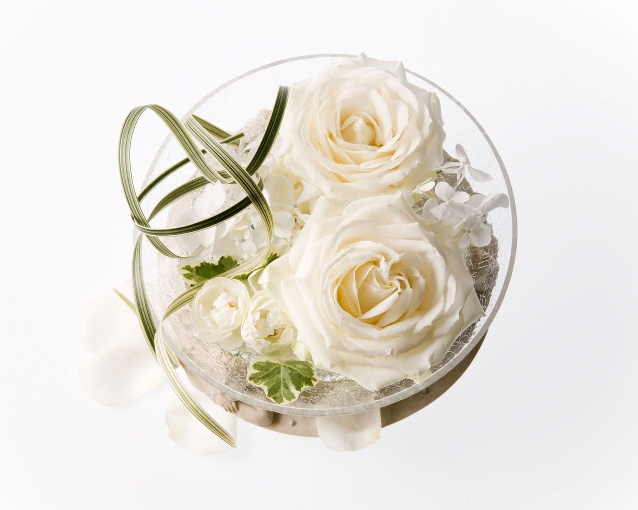 White rose floral arrangement