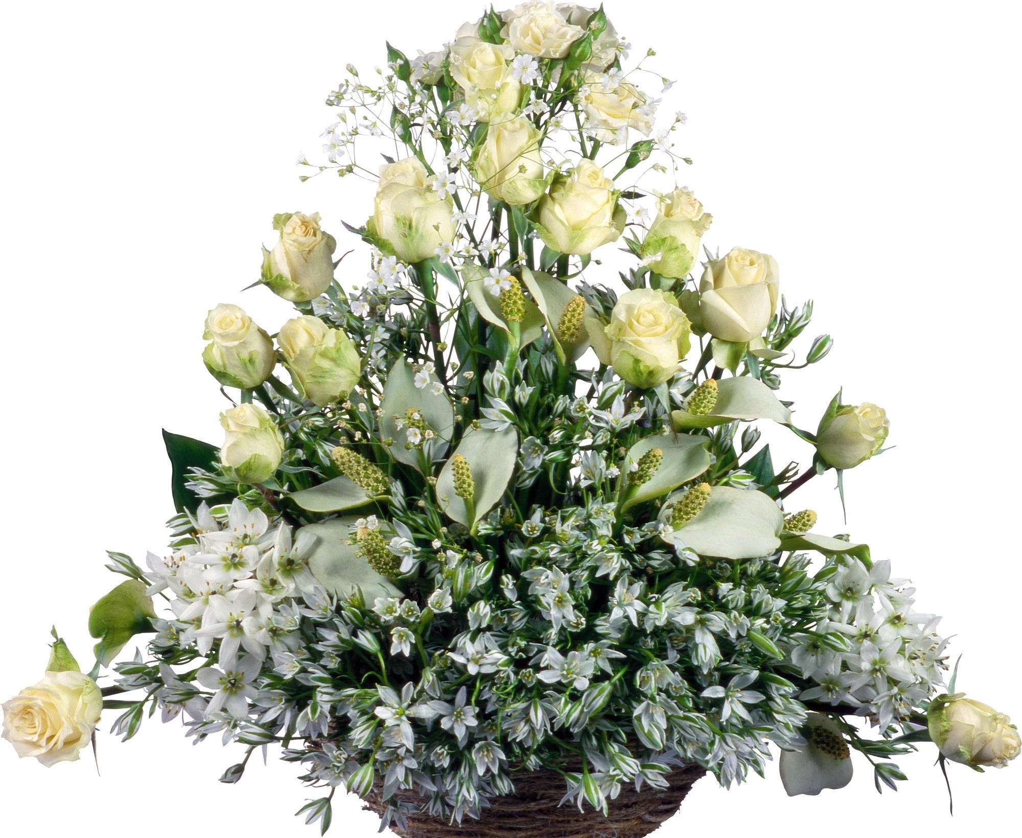 white rose floral arrangement