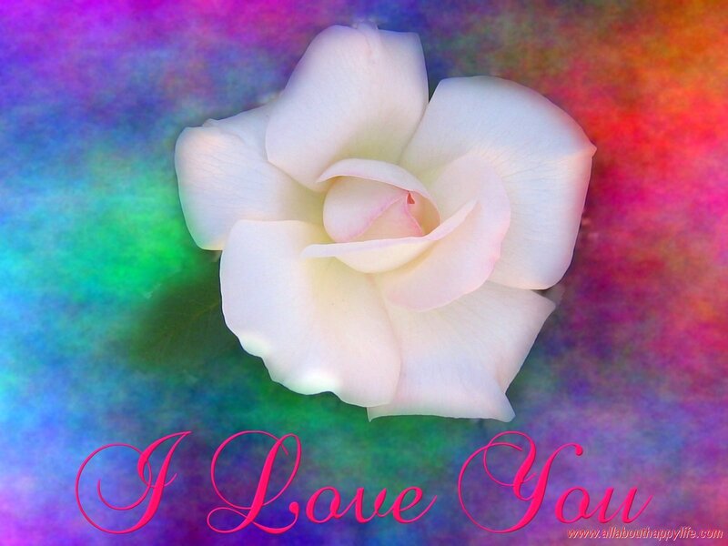 White Rose Flower — Purple