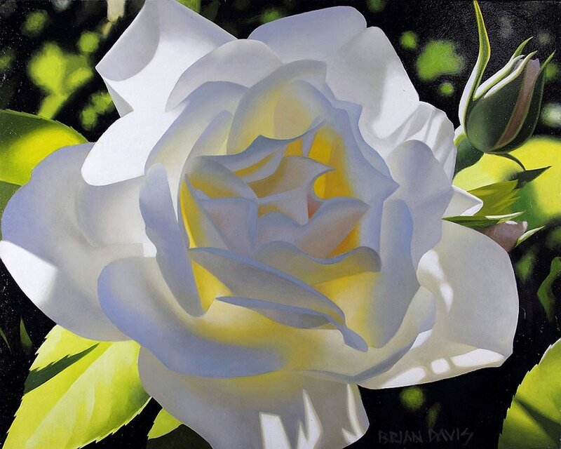 White Rose Flower — Serene, Painting, Bud