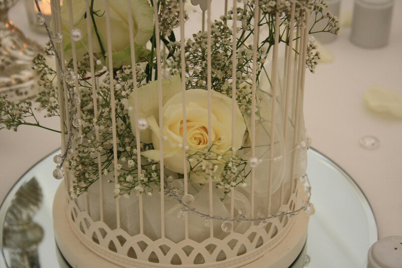 White Rose in Birdcage