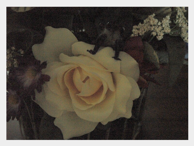 White Rose in Bouquet — Dim