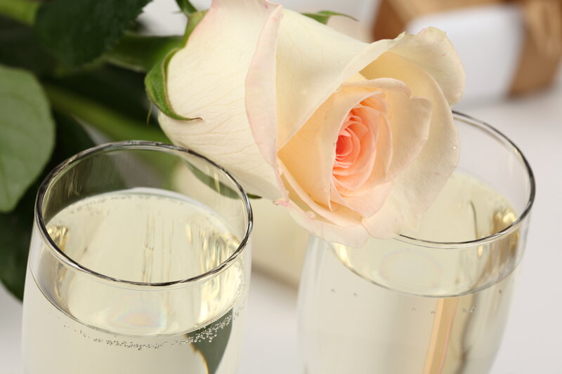 White Rose in Champagne