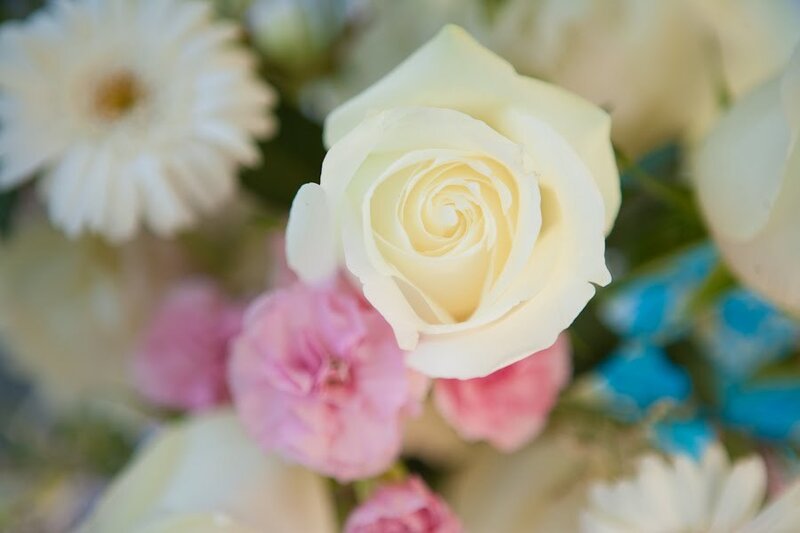 White rose in floral arrangement