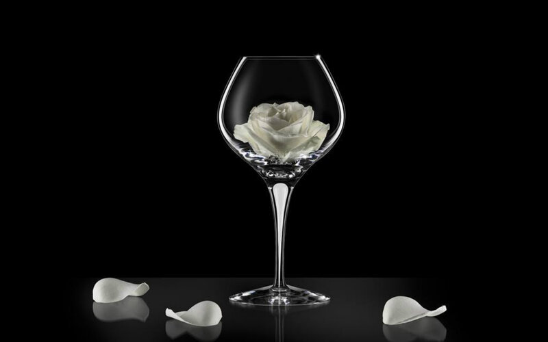 White Rose in Glass — Black