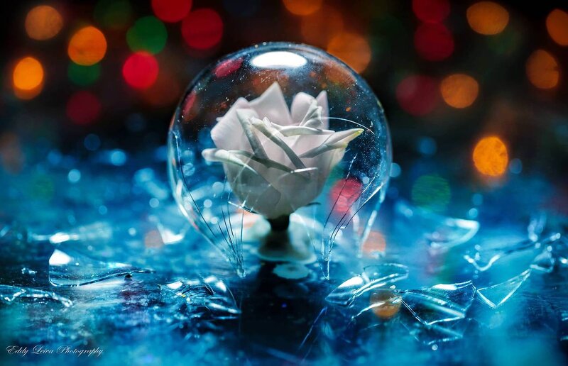 White Rose in Glass Bulb