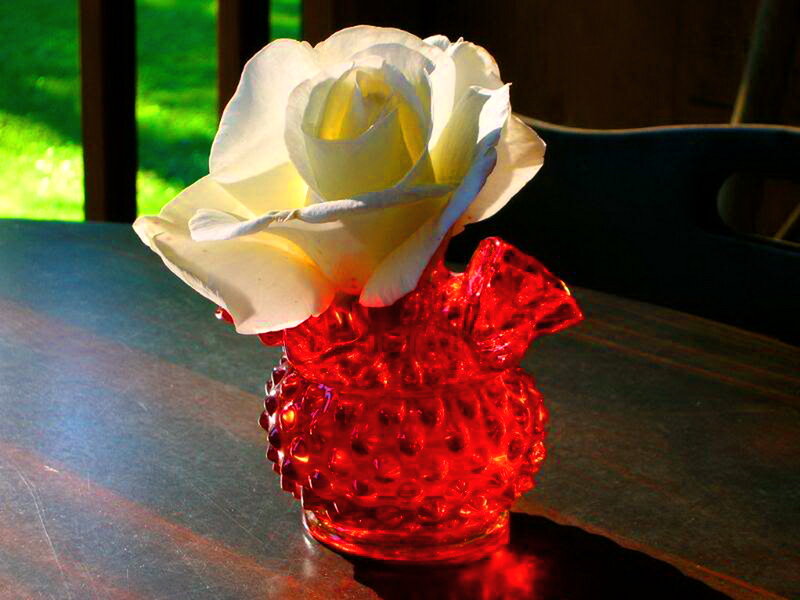 White Rose in Red Vase — Dramatic