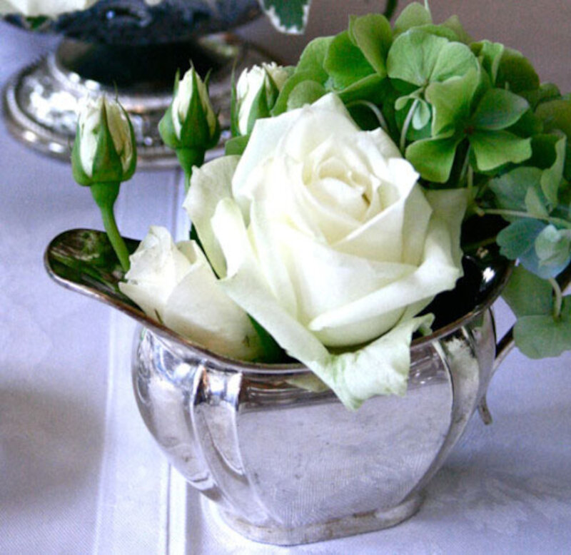 White Rose in Silver Pitcher