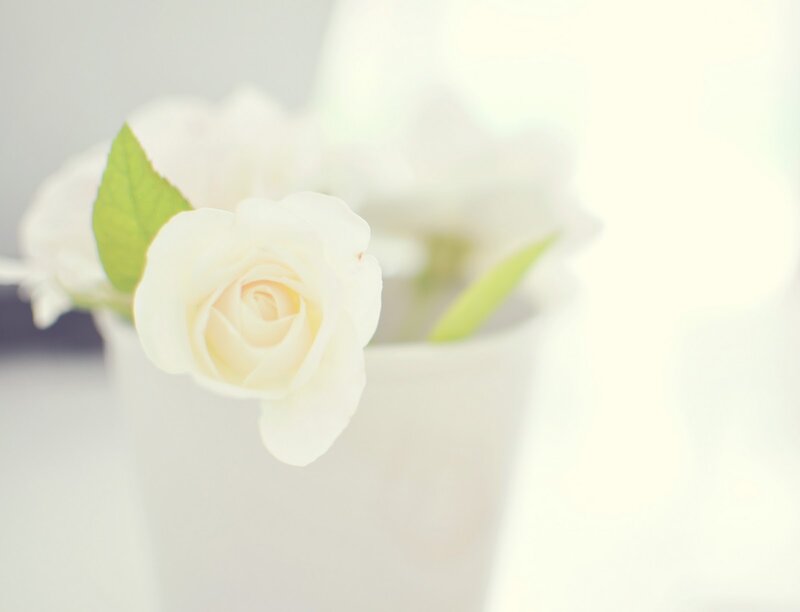 White Rose in Vase — Serene, Photograph, Leaf
