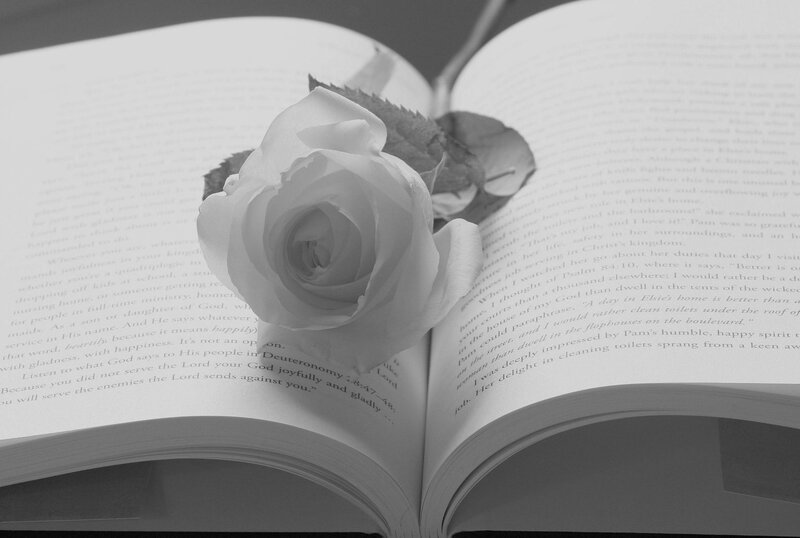 White Rose on Book — Black