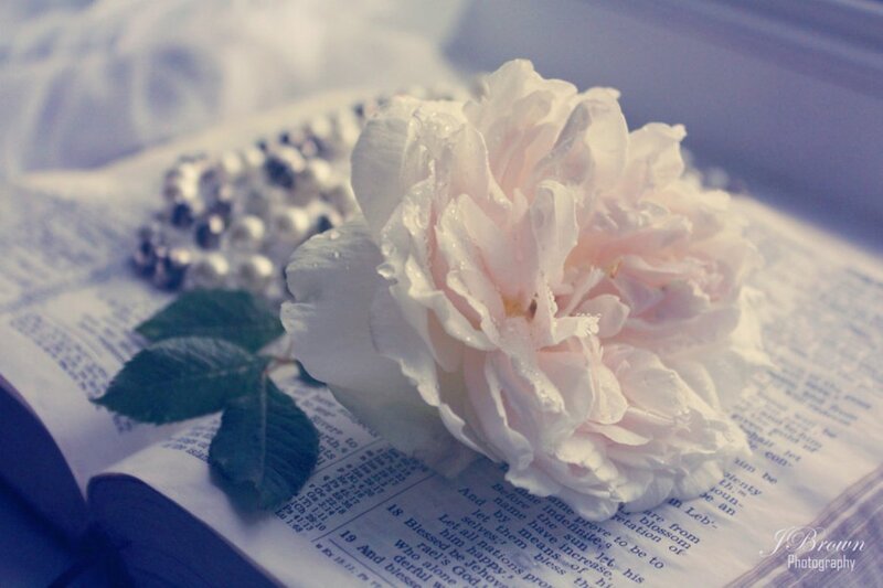 White Rose on Book — Serene, Photograph, Pearl Necklace