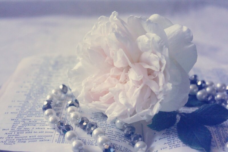 White Rose on Book — Serene, Photograph, Pearls