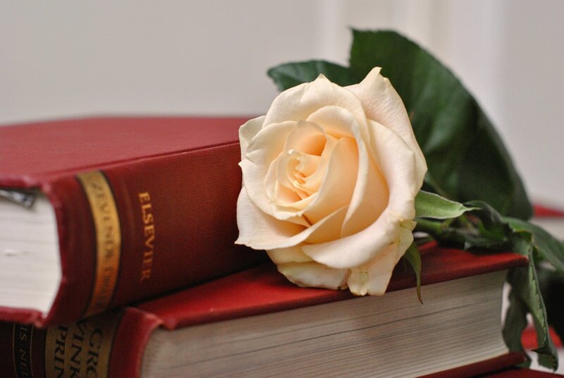 White Rose on Books