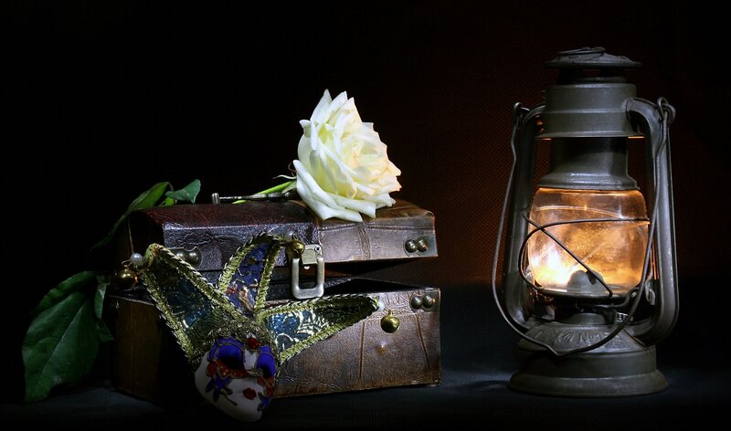White Rose on Chest