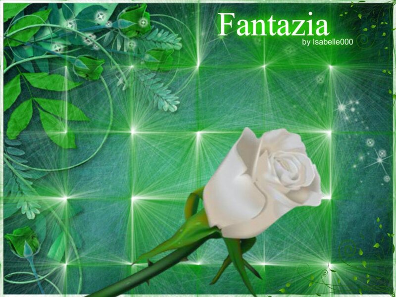 White Rose on Green Background