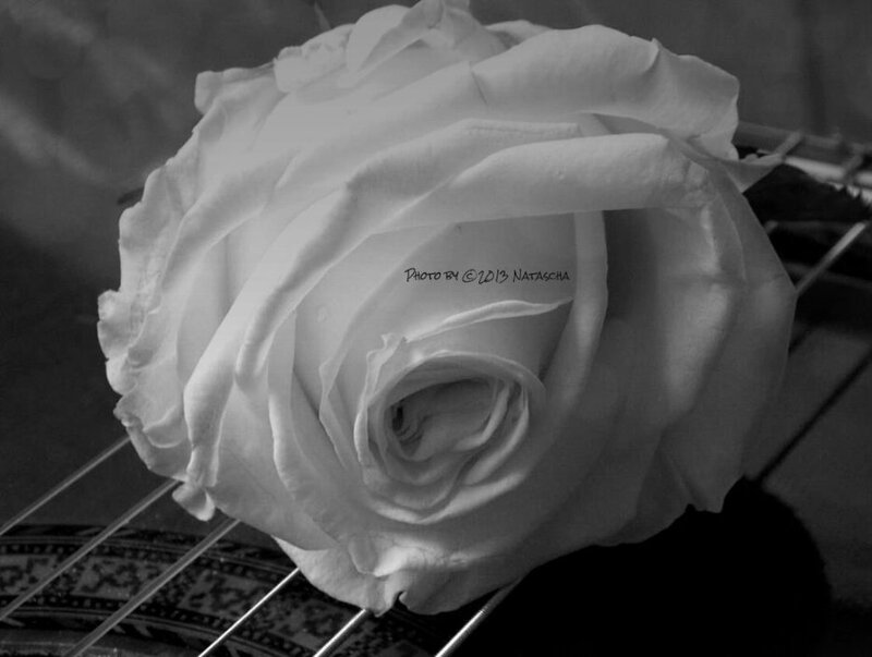 White Rose on Guitar