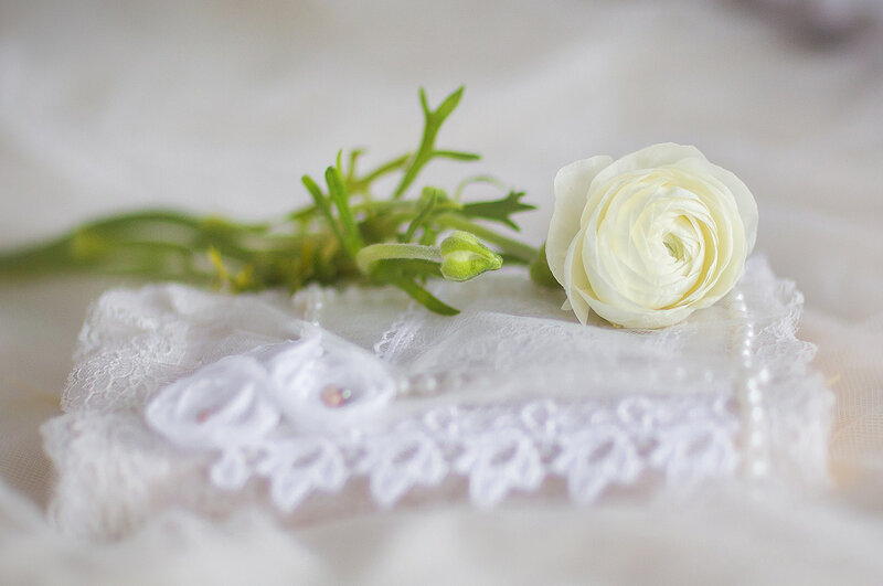 White Rose on Lace — Serene, Photograph