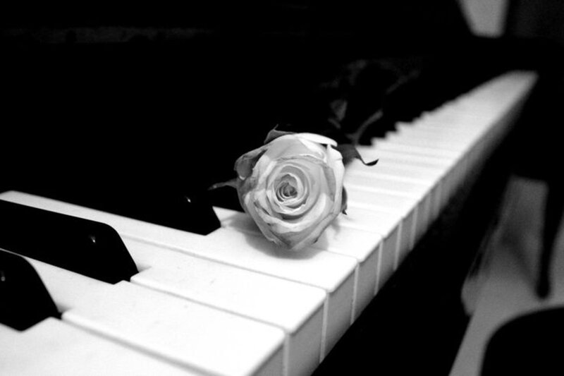 White Rose on Piano Keys — Black
