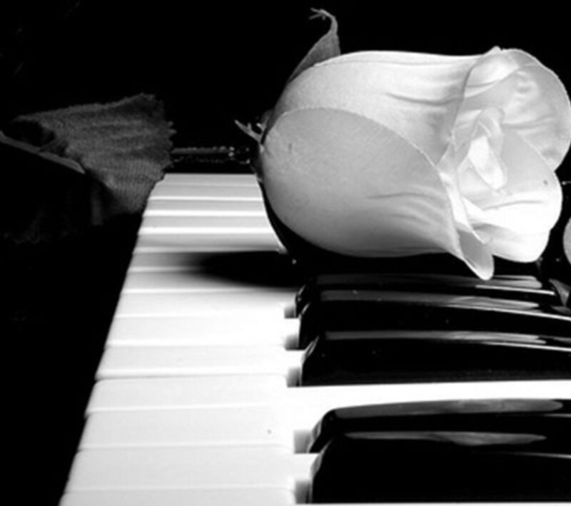 white rose on piano keys