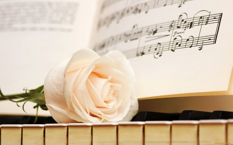 white rose on piano sheet music
