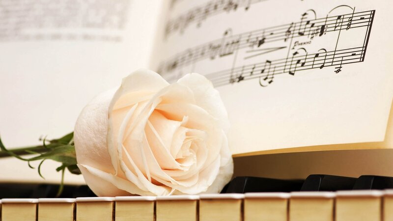 White rose on piano sheet music