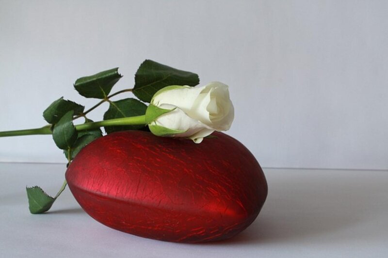 White Rose on Red Heart — Serene