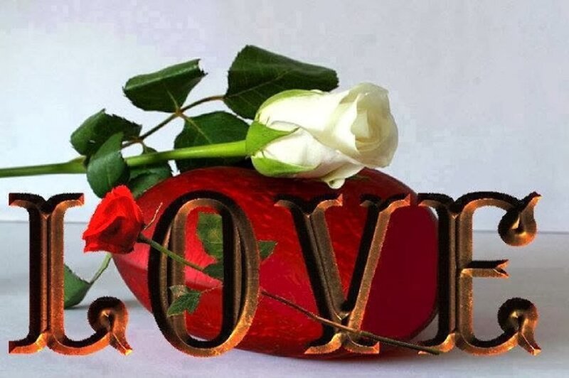 White Rose on Red Heart