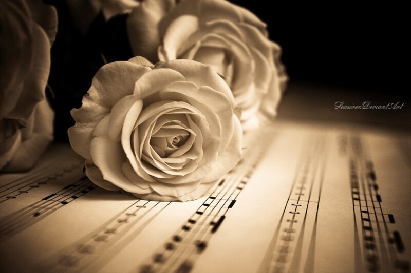 White Rose on Sheet Music — Sepia